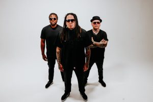 P.O.D