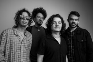 Selvagens à Procura de Lei