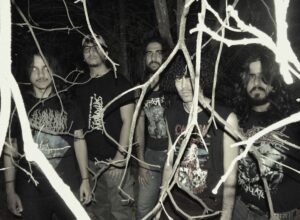 Cosmophage - Foto