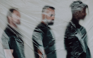 Animals as Leaders