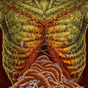 flesh capa