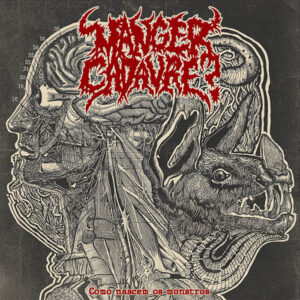 manger capa