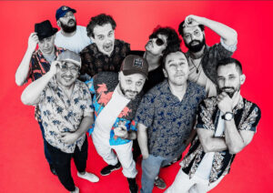 Macaco Estrela