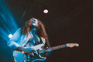 Hammerhead Blues Luiz Cardim