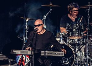 A Flock of Seagulls