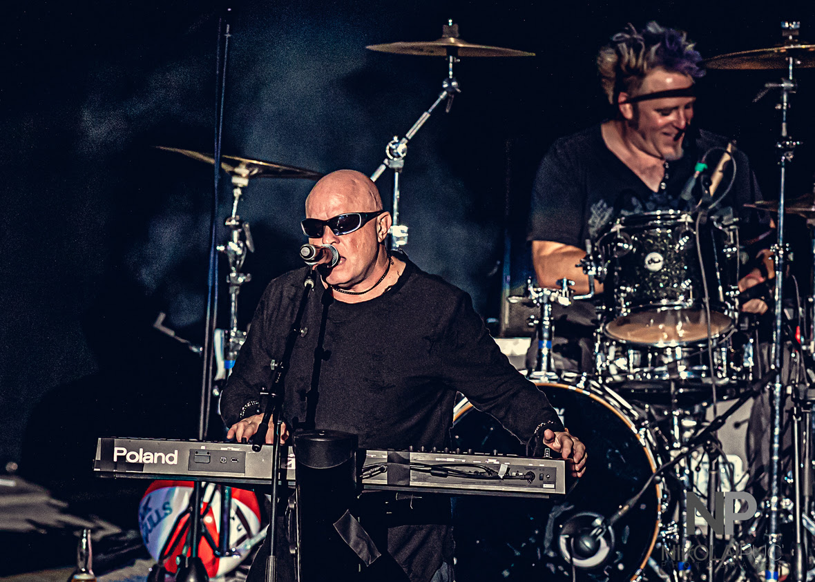 A Flock of Seagulls